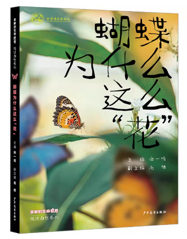 蝴蝶为什么这么“花”